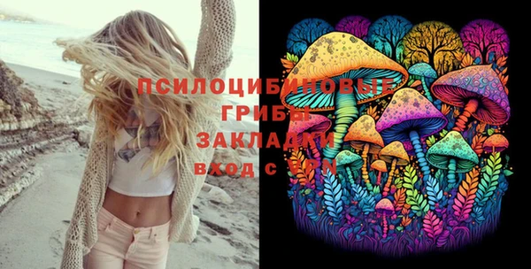 PSILOCYBIN Вязники