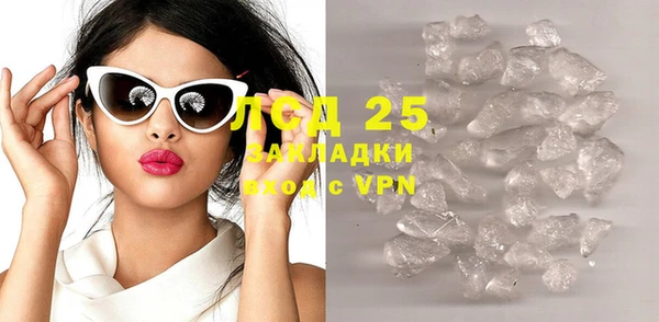 сатива Надым