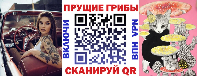 купить наркоту  Мамоново  Псилоцибиновые грибы мицелий 